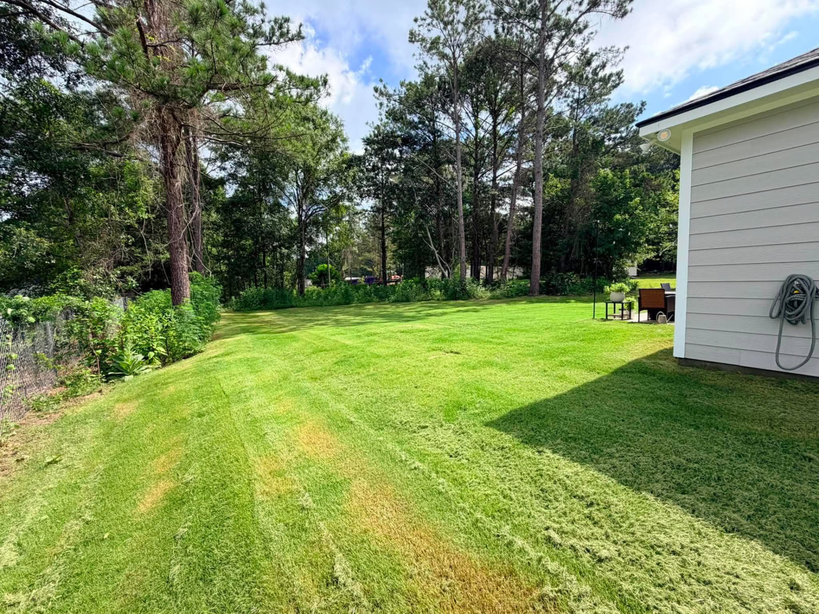 Side Yard Cleanup
